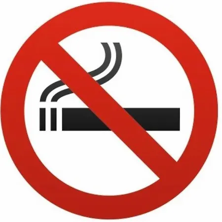 Du Donjon * Carcassone